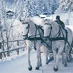 Gruener Baum Hotel Bad Gastein