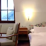 Hotel Gruener Baum 4*