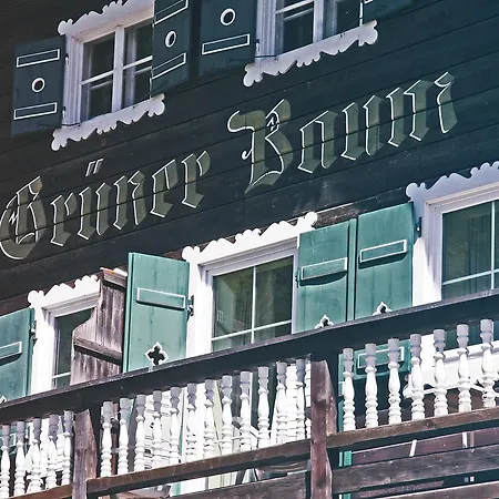 Gruener Baum فندق باد جاستاين