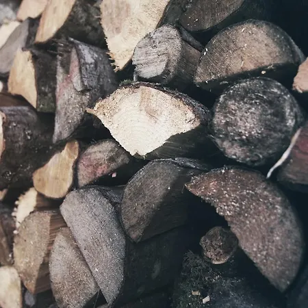 Gruener Baum Bad Gastein