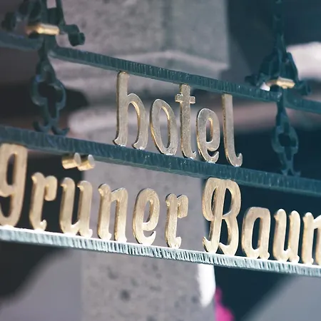 فندق Gruener Baum باد جاستاين