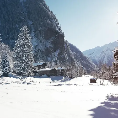 Gruener Baum 4* 巴德加斯坦