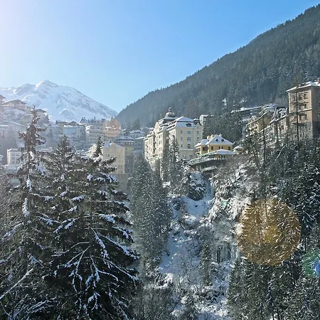Gruener Baum فندق