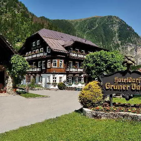 Gruener Baum Hotel 4*