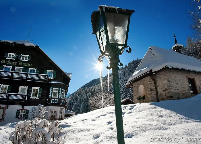 Gruener Baum Hotel 4*