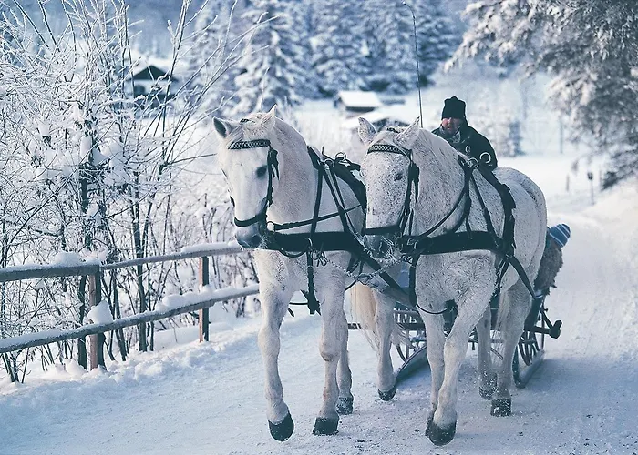 Gruener Baum Hotel Bad Gastein