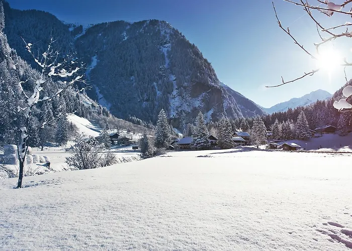 Gruener Baum 4* Bad Gastein