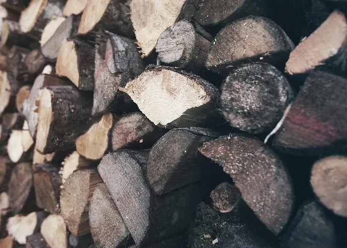 Gruener Baum Bad Gastein