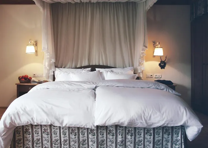 Gruener Baum Hotel 4*